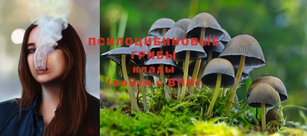 мдпв Киренск