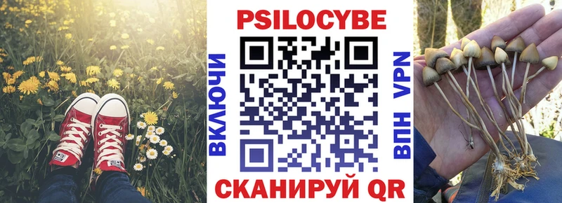 купить  цена  Кола  Галлюциногенные грибы Psilocybe 